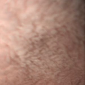 Meet your Posher, Alexa